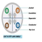 PT-CLN6-P/G